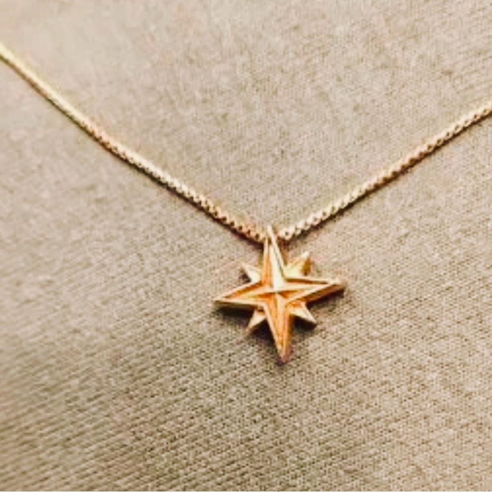 Alex and Ani 14K Rose Gold Wonder Woman Star Pendant Necklace - New in Bag!